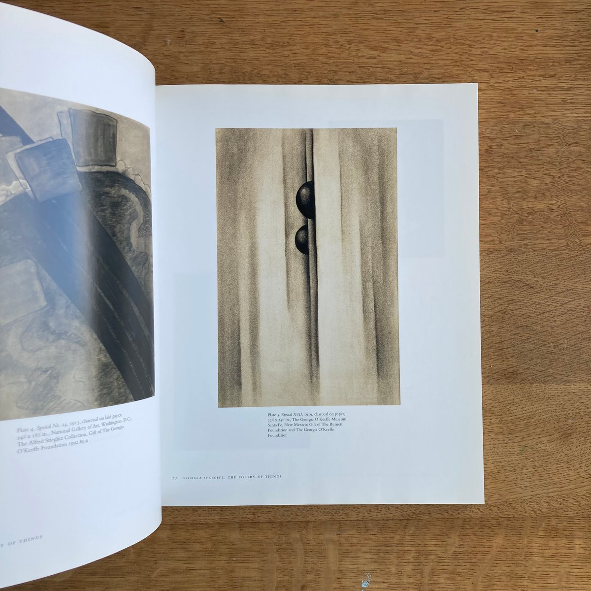 洋書 Georgia O'Keeffe Georgia O'Keeffe: To See Takes Time | Art Book