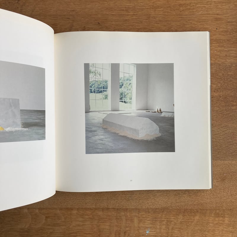 WOLFGANG LAIB｜A RETROSPECTIVE | WHITEGREEN GALLERY