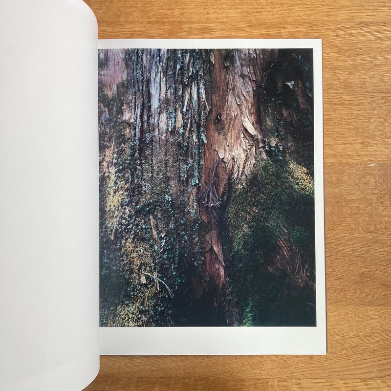 Yoshihiko Ueda｜Materia | WHITEGREEN GALLERY