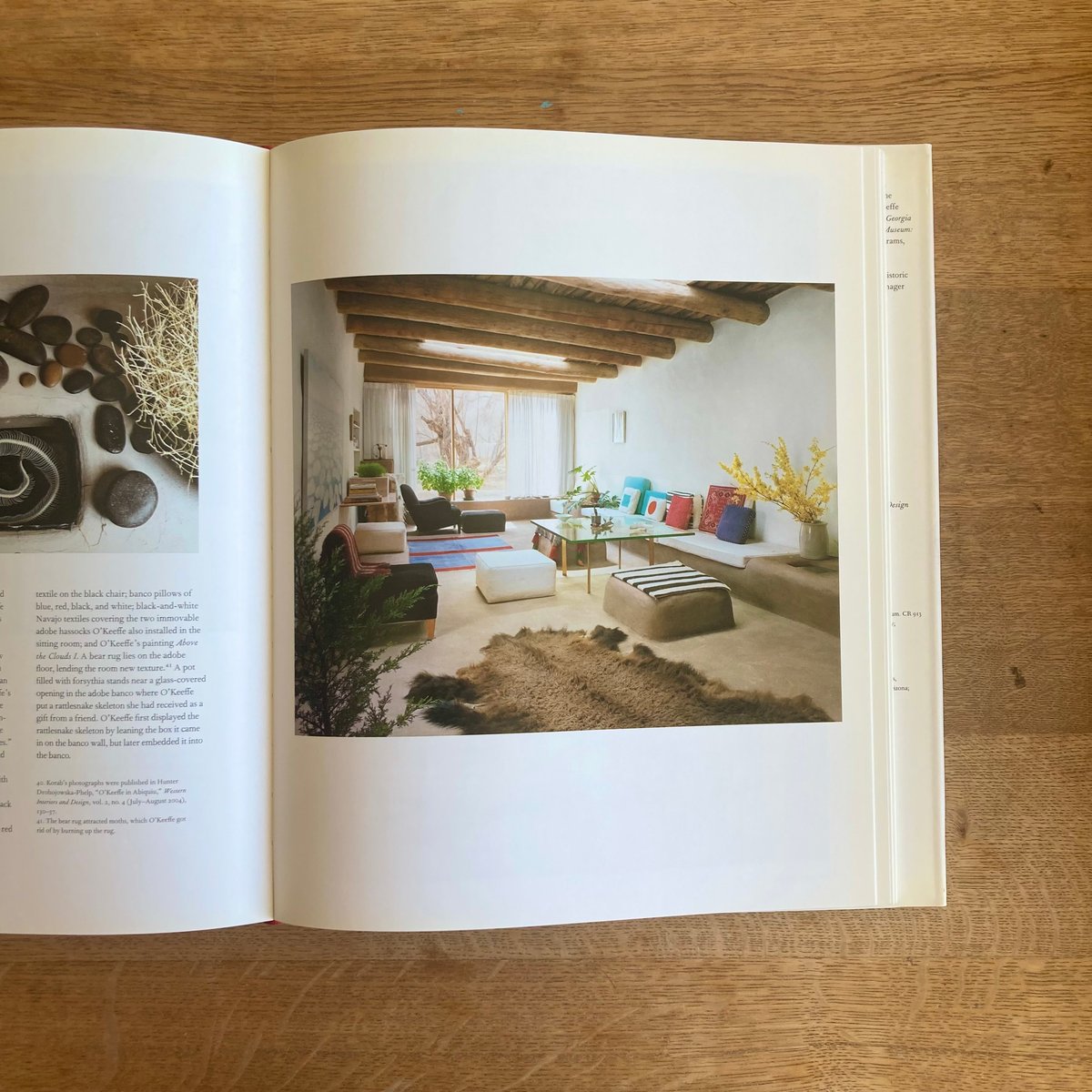 ia O'Keeffe and Her Housesジョージアオキーフ Amazon | Georgia O'Keeffe and Her Houses: Ghost Ranch and Abiquiu