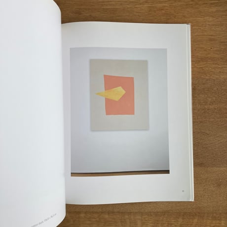 PETER JOSEPH｜PAINTING 2015-2017