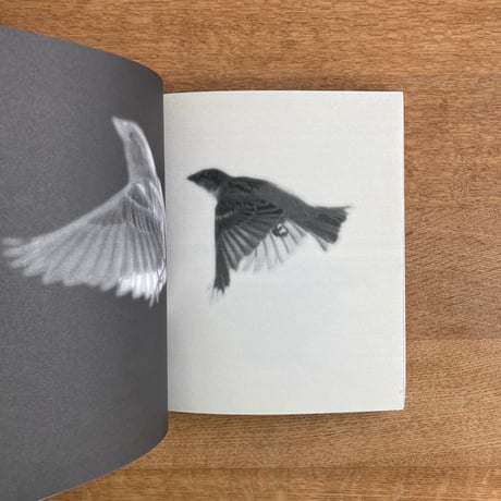 TERRI WEIFENBACH｜Centers of Gravity