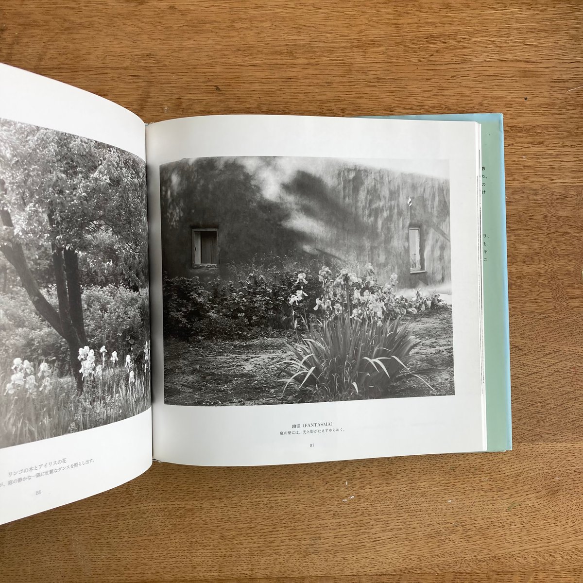 オキーフの家 : Abiquiu and ghost ranch オキーフの家｜Abiquiu and Ghost Ranch | WHITEGREEN GAL