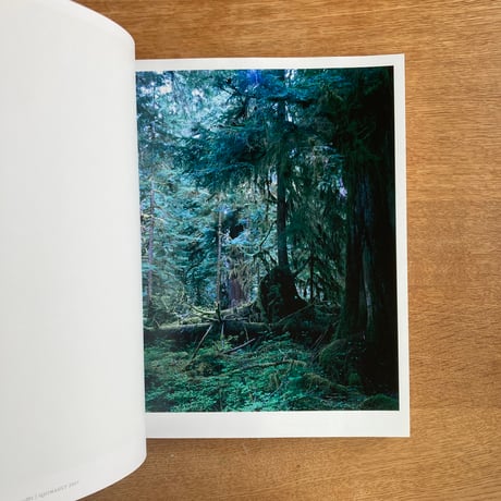 Yoshihiko Ueda｜Forest