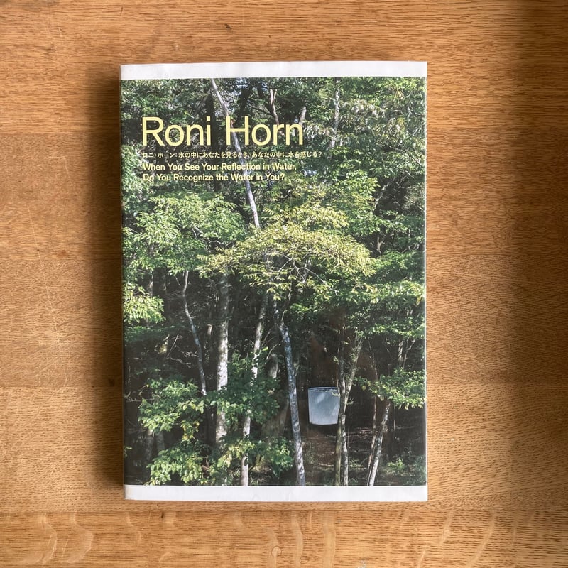 Roni Horn｜水の中にあなたを見るとき、あなたの中に水を感じる