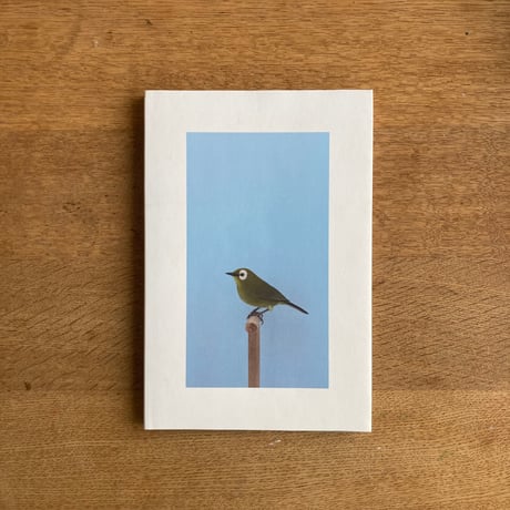 LUKE STEPHENSON｜INCOMPLETE DICTIONARY OF SHOW BIRDS