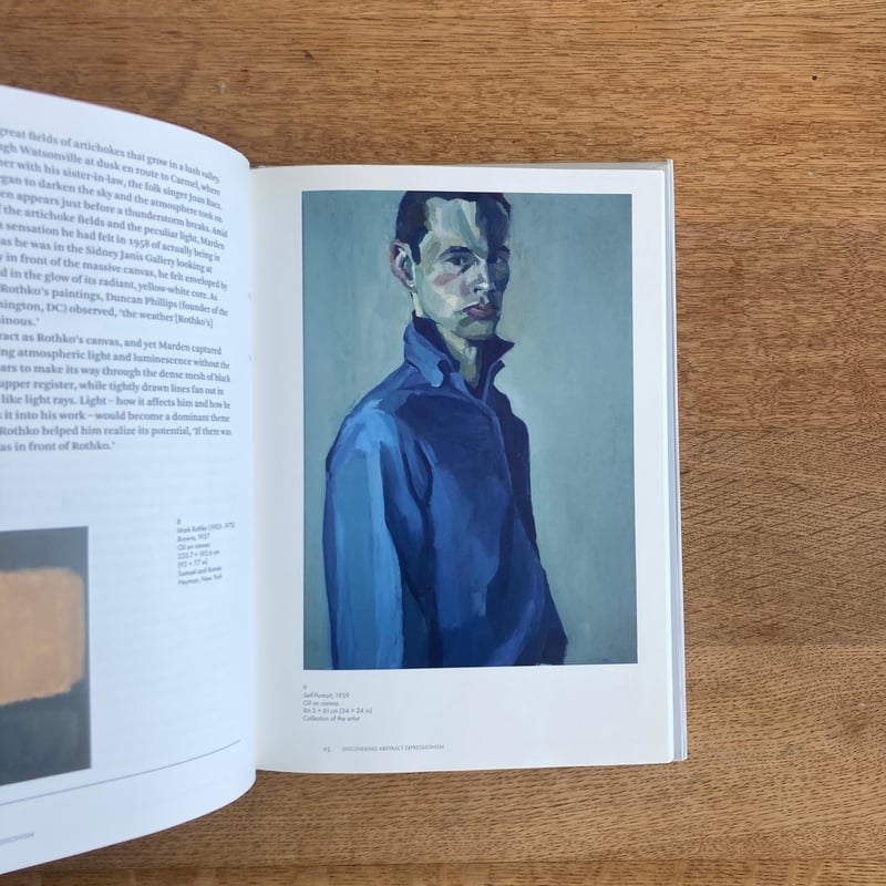 BRICE MARDEN | WHITEGREEN GALLERY