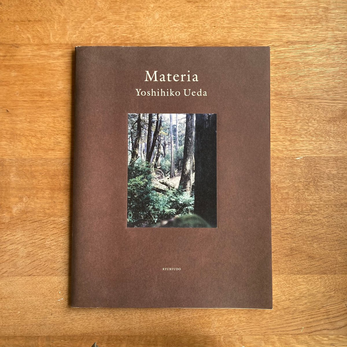 Yoshihiko Ueda｜Materia | WHITEGREEN GALLERY