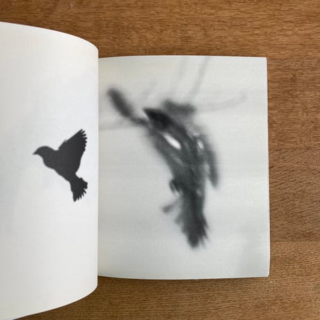 TERRI WEIFENBACH｜Centers of Gravity