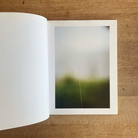 terri weifenbach｜ the may sun