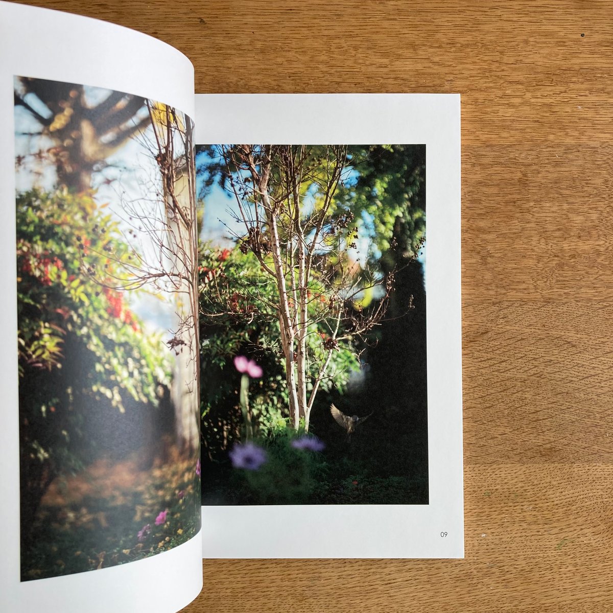Terri Weifenbach／William Wylie｜As the Crow Flie