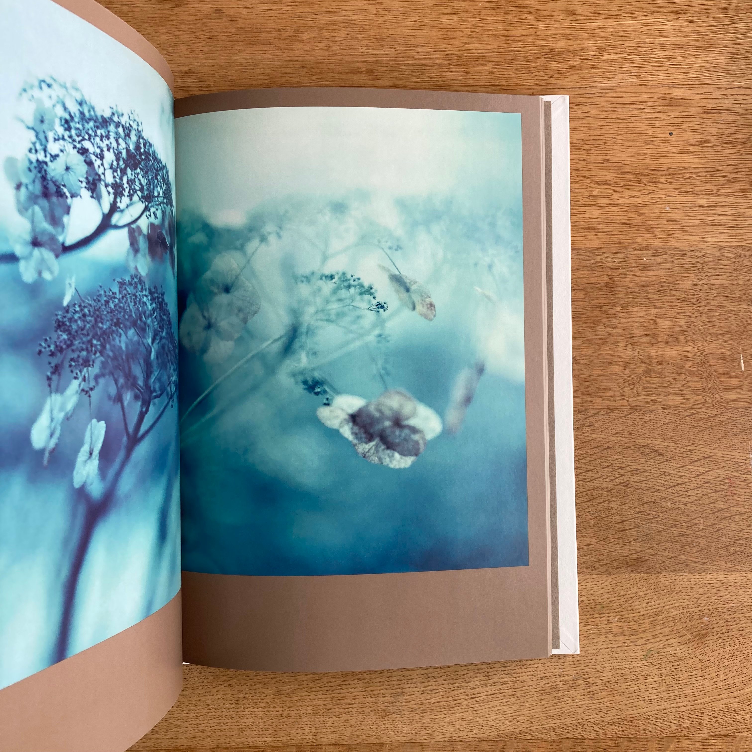 Darren Almond 写真集The Civil Dawns Darren Almond｜The Civil Dawns | WHITEGREEN GALLERY