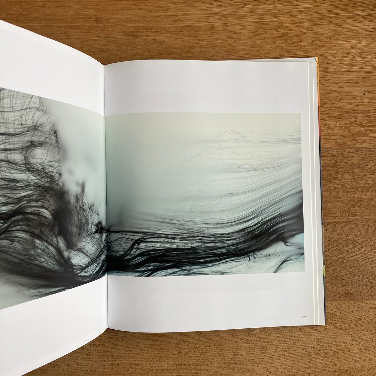 Wolfgang Tillmans | WHITEGREEN GALLERY