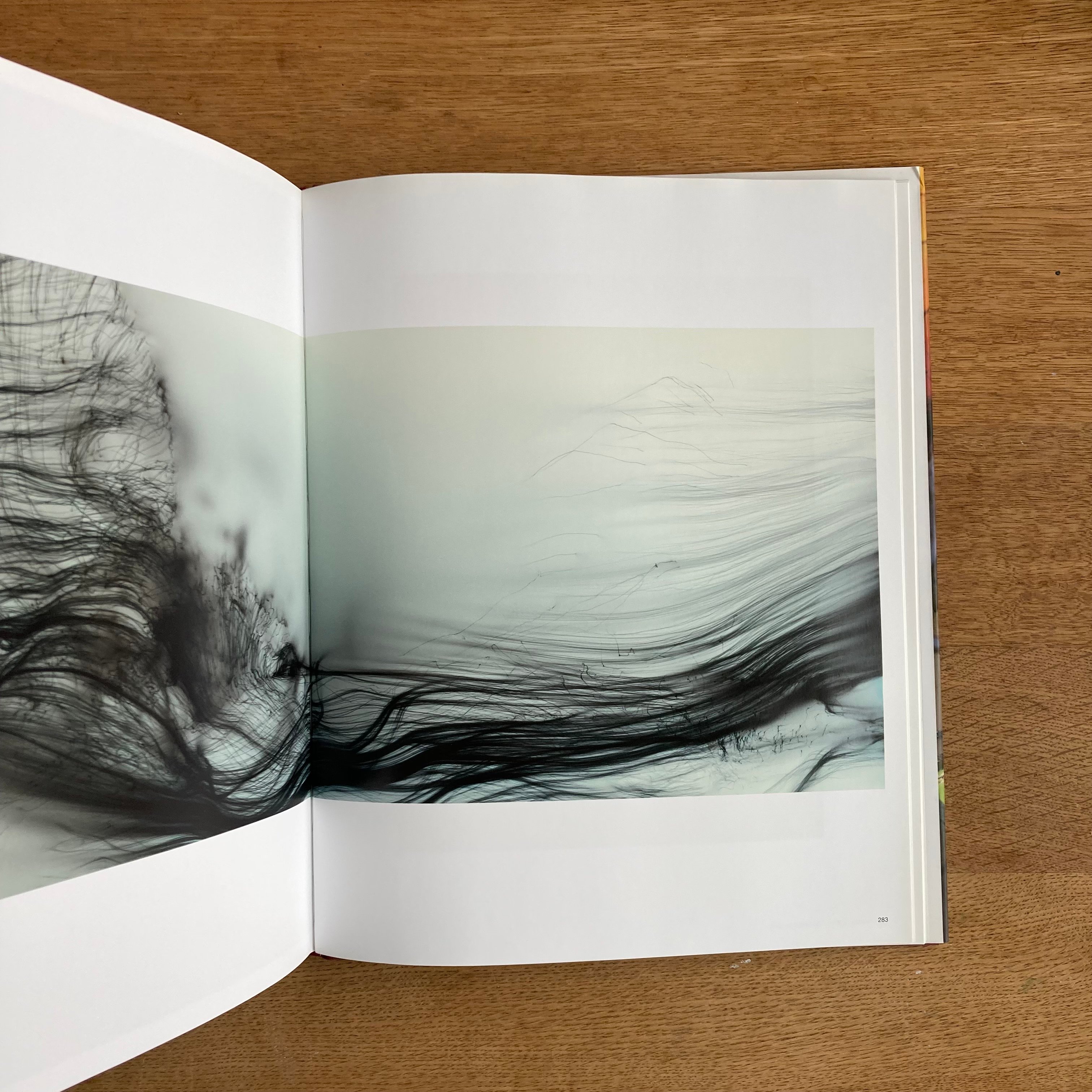 Wolfgang Tillmans | WHITEGREEN GALLERY