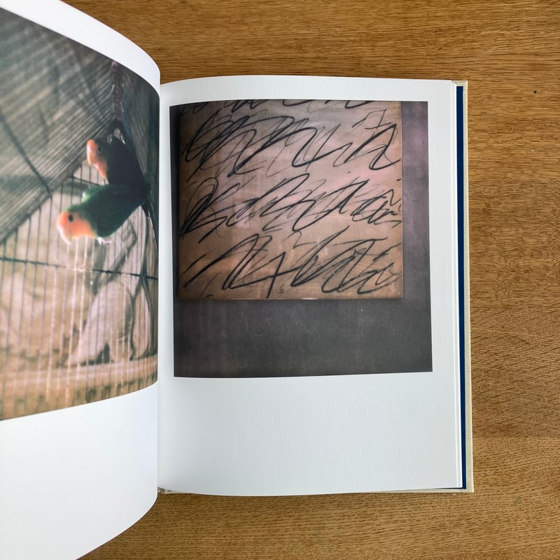 FRANCOIS HALARD｜56 DAYS IN ARLES | WHITEGREEN G