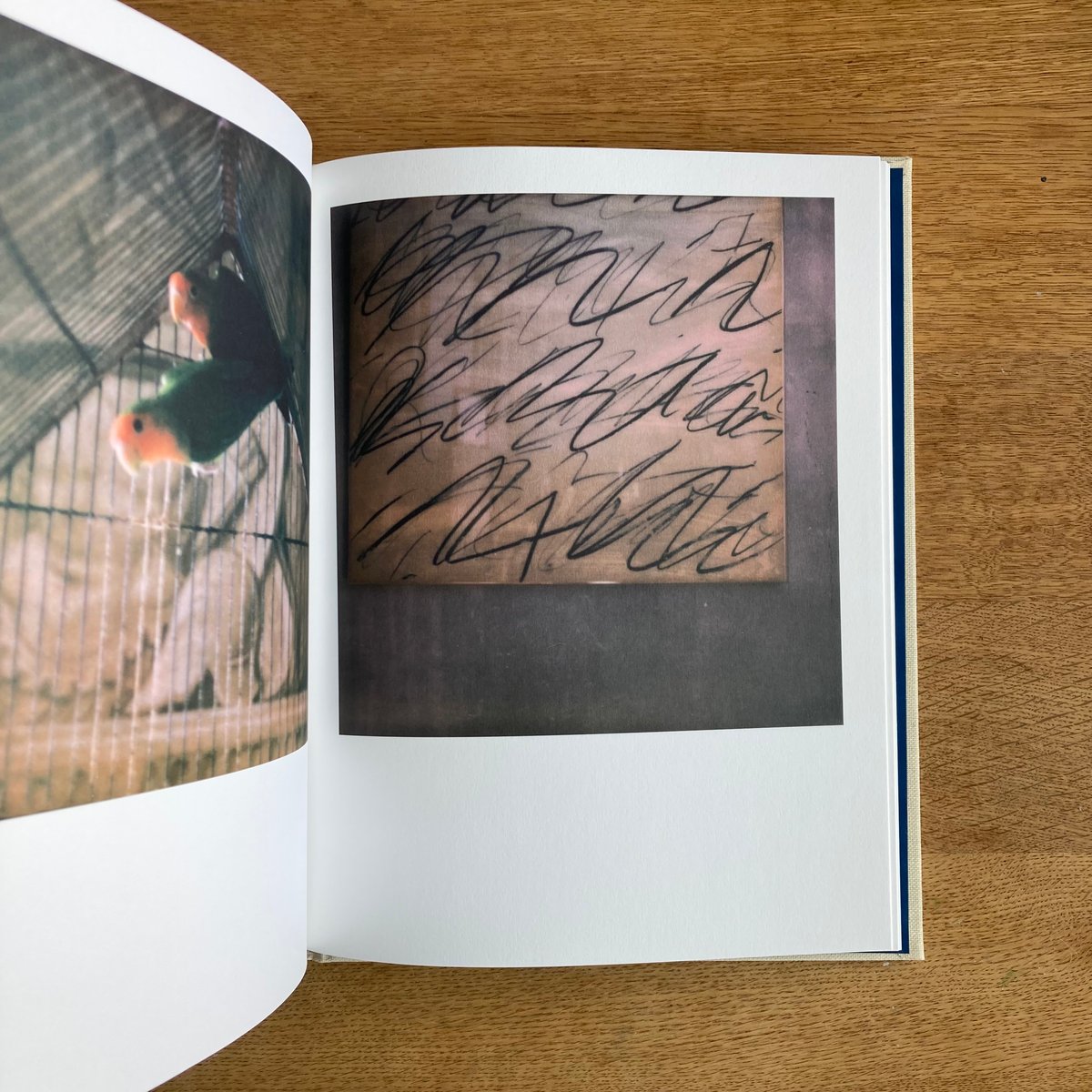 FRANCOIS HALARD｜56 DAYS IN ARLES | WHITEGREEN G
