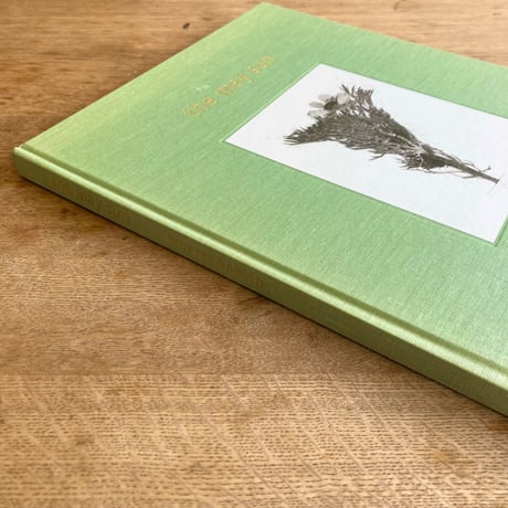 terri weifenbach｜ the may sun