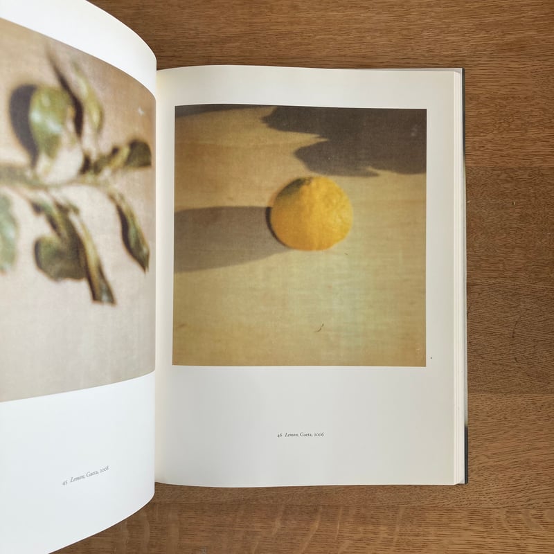 CY TWOMBLY｜PHOTOGRAPHS Ⅲ 1951-2010 | WHITEGREE