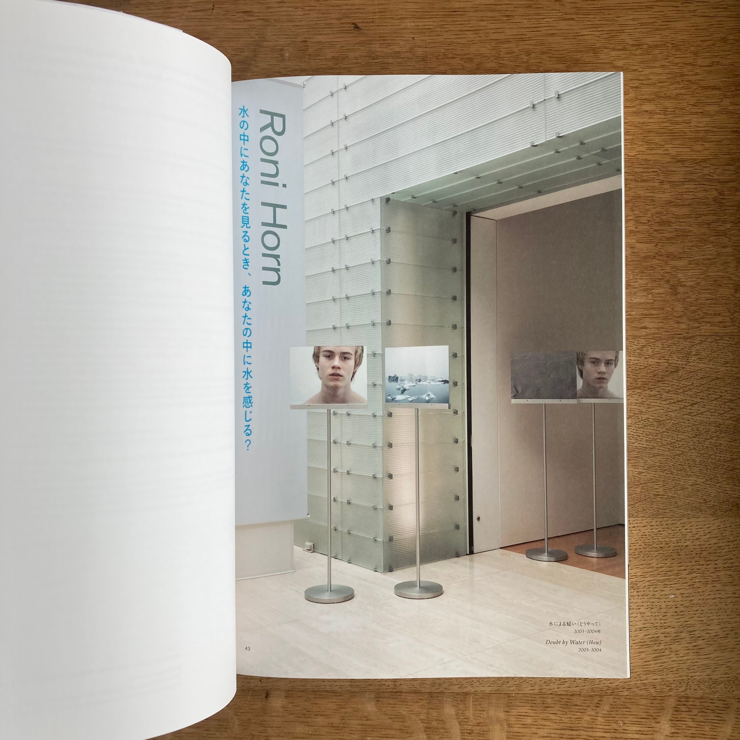 Roni Horn｜水の中にあなたを見るとき、あなたの中に水を感じる