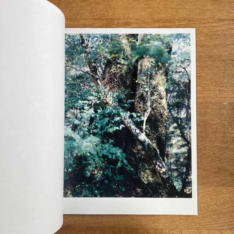 Yoshihiko Ueda｜Materia | WHITEGREEN GALLERY