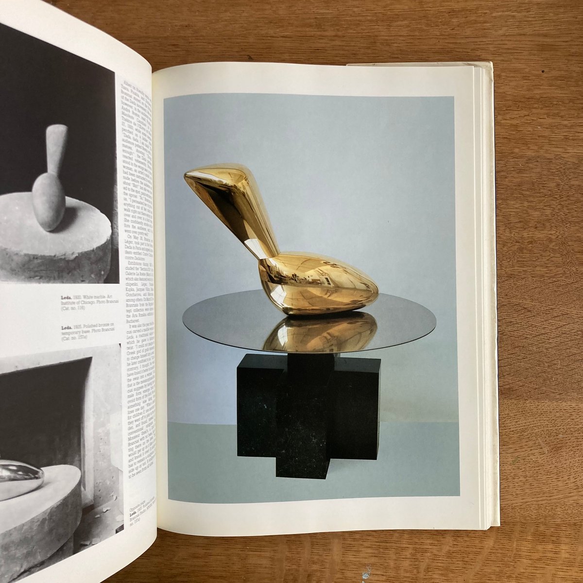 BRUNCUSI | WHITEGREEN GALLERY