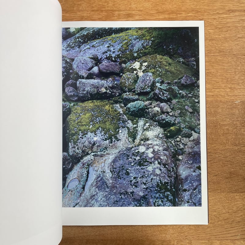 Yoshihiko Ueda｜Materia | WHITEGREEN GALLERY