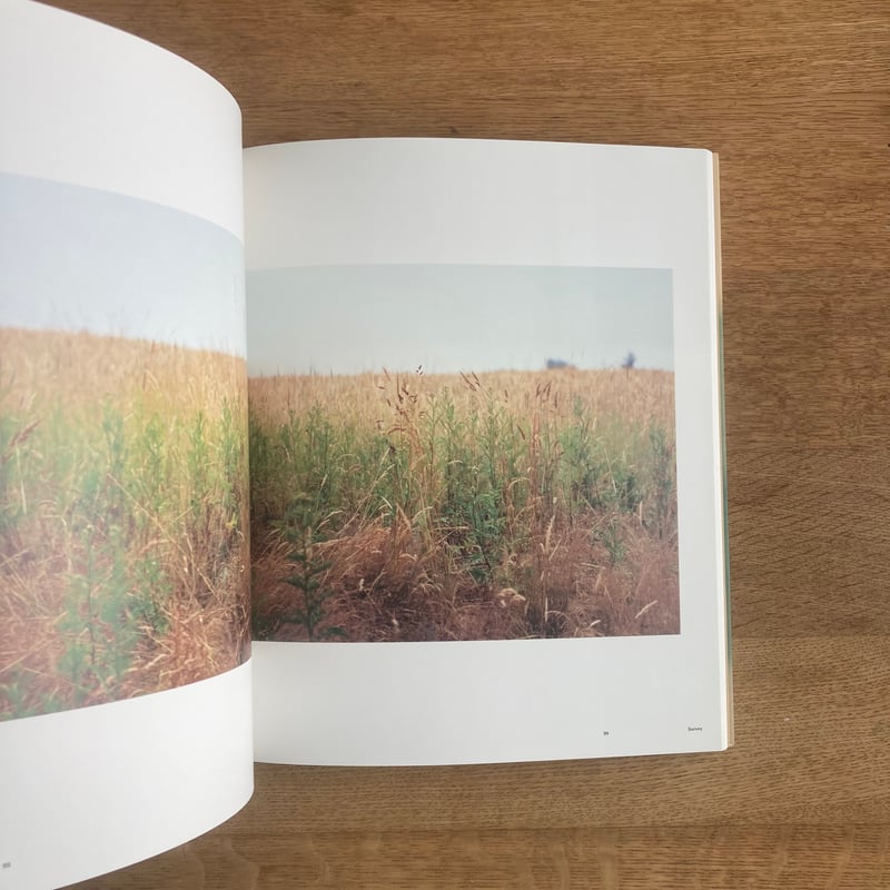 Uta Barth | WHITEGREEN GALLERY