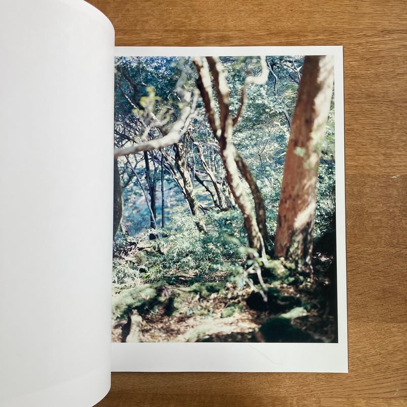 Yoshihiko Ueda｜Materia | WHITEGREEN GALLERY