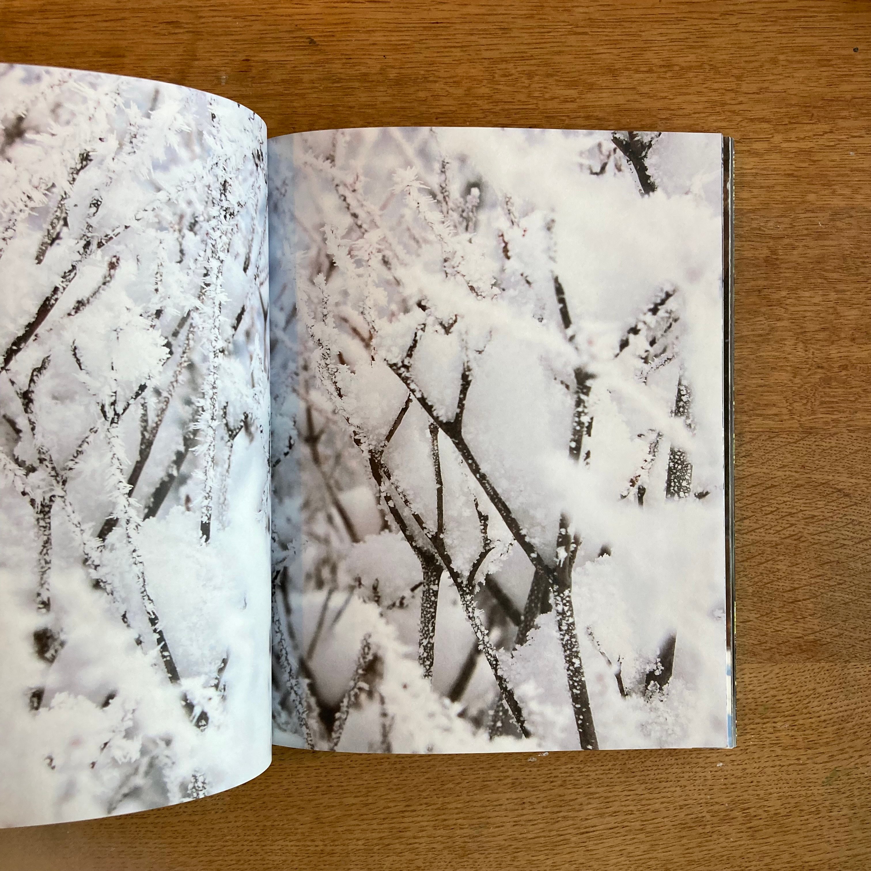 mina tabuchi｜into the forest | WHITEGREEN GALLERY
