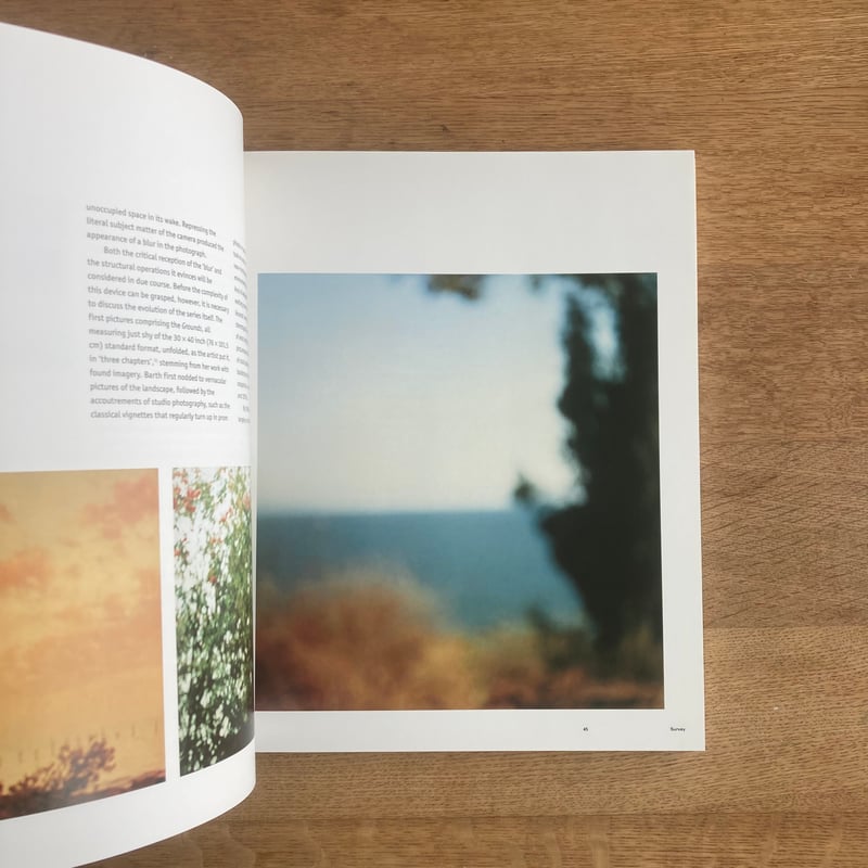 Uta Barth | WHITEGREEN GALLERY