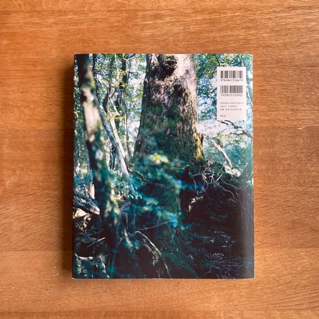 Yoshihiko Ueda｜Forest