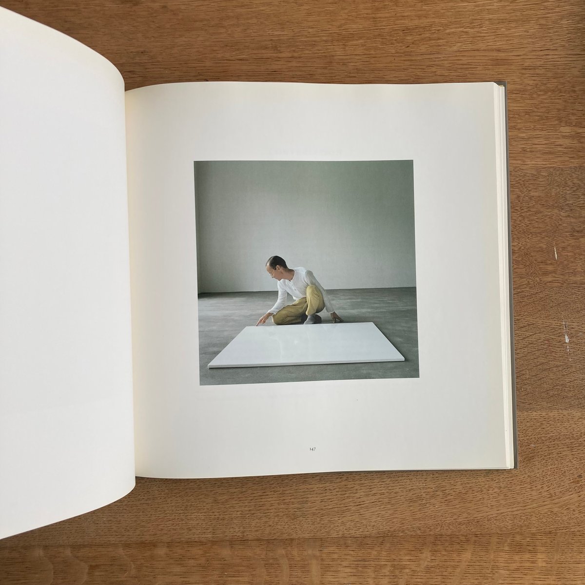 WOLFGANG LAIB｜A RETROSPECTIVE | WHITEGREEN GALLERY