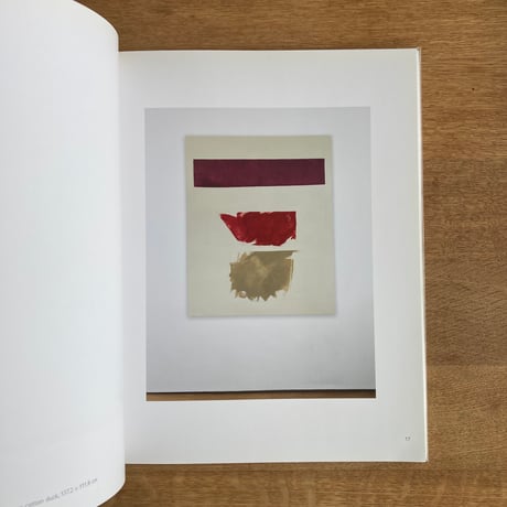 PETER JOSEPH｜PAINTING 2015-2017