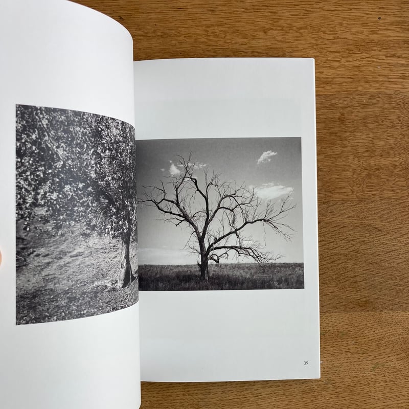 Terri Weifenbach／William Wylie｜As the Crow Flie