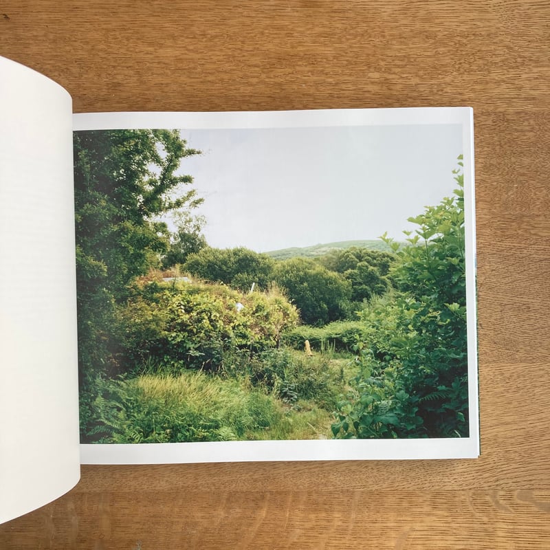 David Spero｜Settlements | WHITEGREEN GALLERY