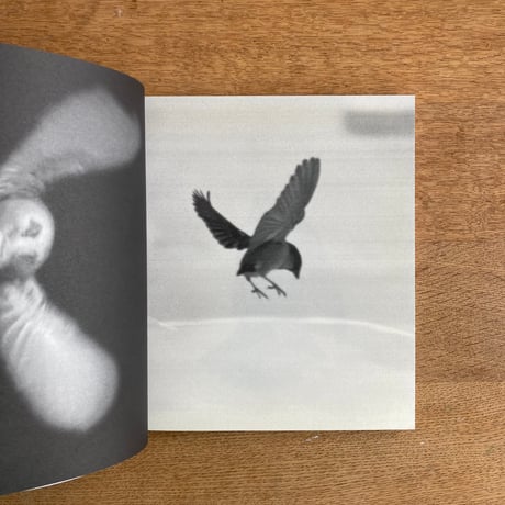TERRI WEIFENBACH｜Centers of Gravity