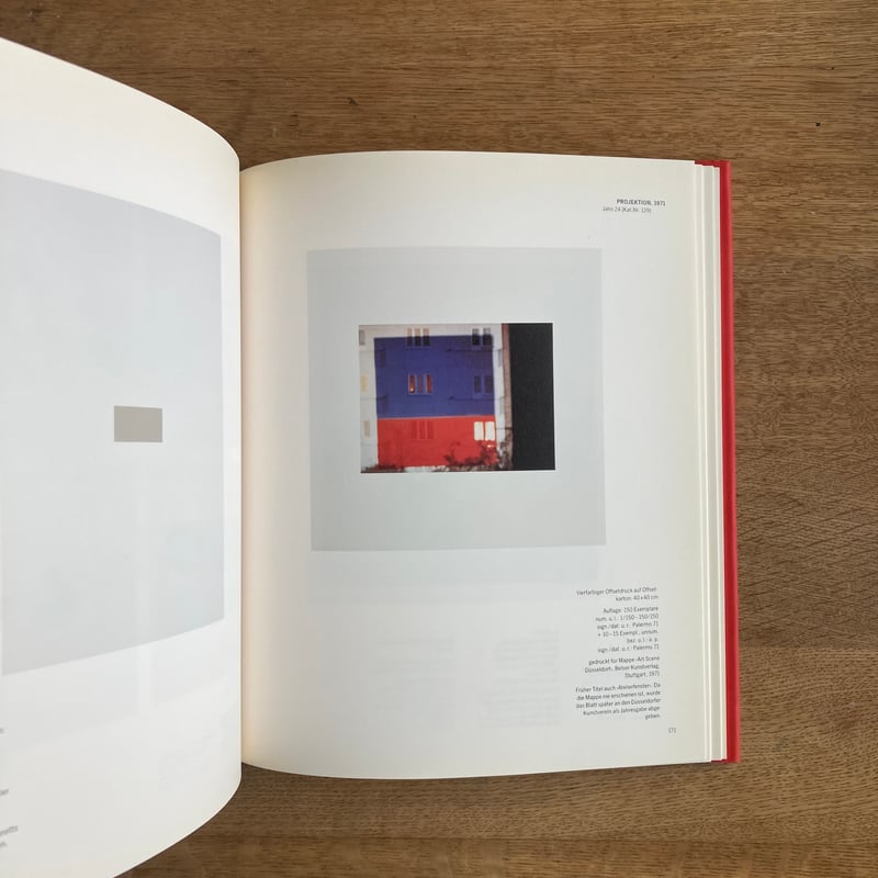 BLINKY PALERMO | WHITEGREEN GALLERY