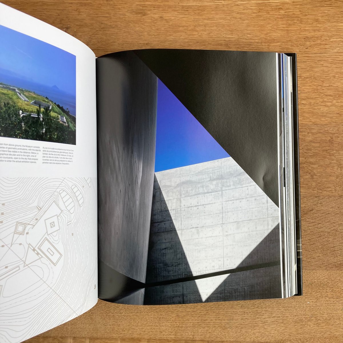 ANDO｜Complete Works | WHITEGREEN GALLERY