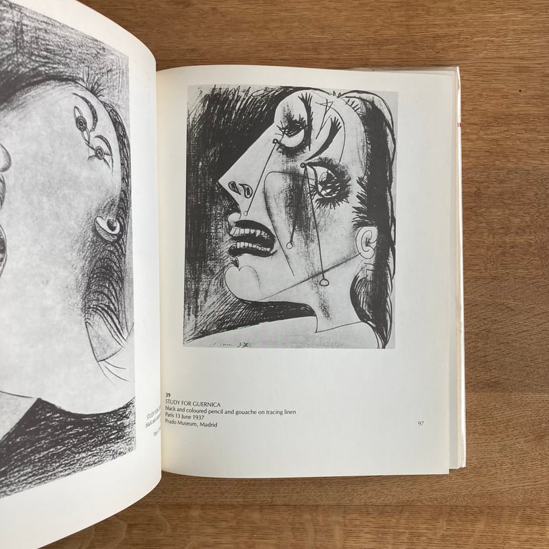 希少洋書: PABLO PICASSOドローイング THE DRAWINGS OF Picasso