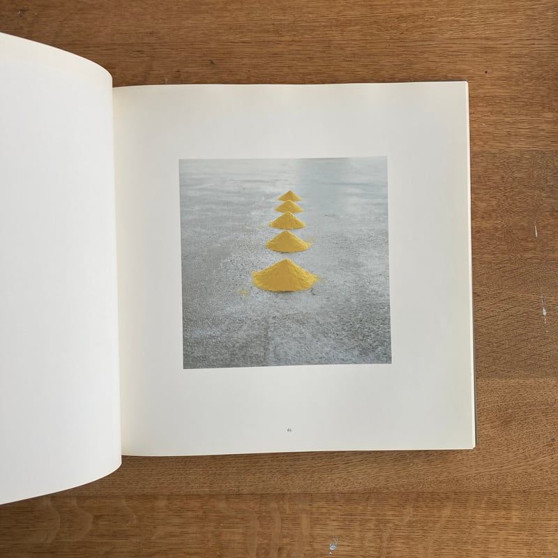 WOLFGANG LAIB｜A RETROSPECTIVE | WHITEGREEN GALLERY