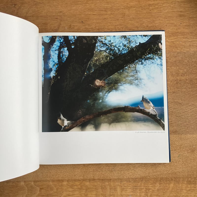 Jean-Luc Mylayue｜TETE D'OR | WHITEGREEN GALLERY