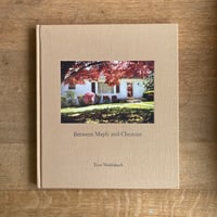 TERRI WEIFENBACH｜ Between Maple and Chestnut |