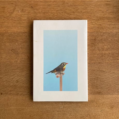 LUKE STEPHENSON｜INCOMPLETE DICTIONARY OF SHOW BIRDS