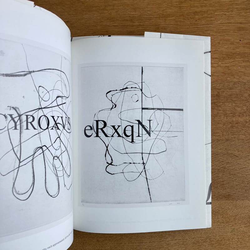 アート・デザイン・音楽 Christopher Wool CROSSTOWN Christopher Wool : Crosstown - Les presses du réel (book)