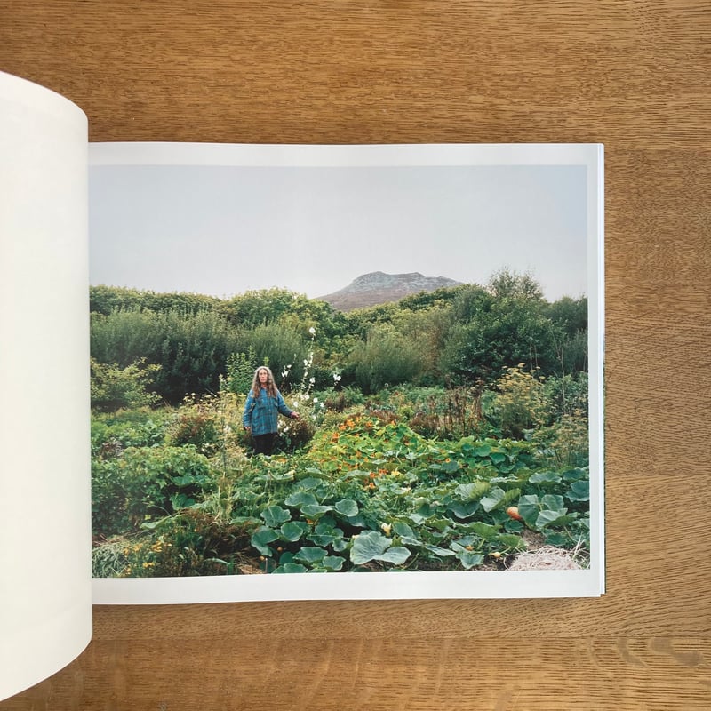 David Spero｜Settlements | WHITEGREEN GALLERY