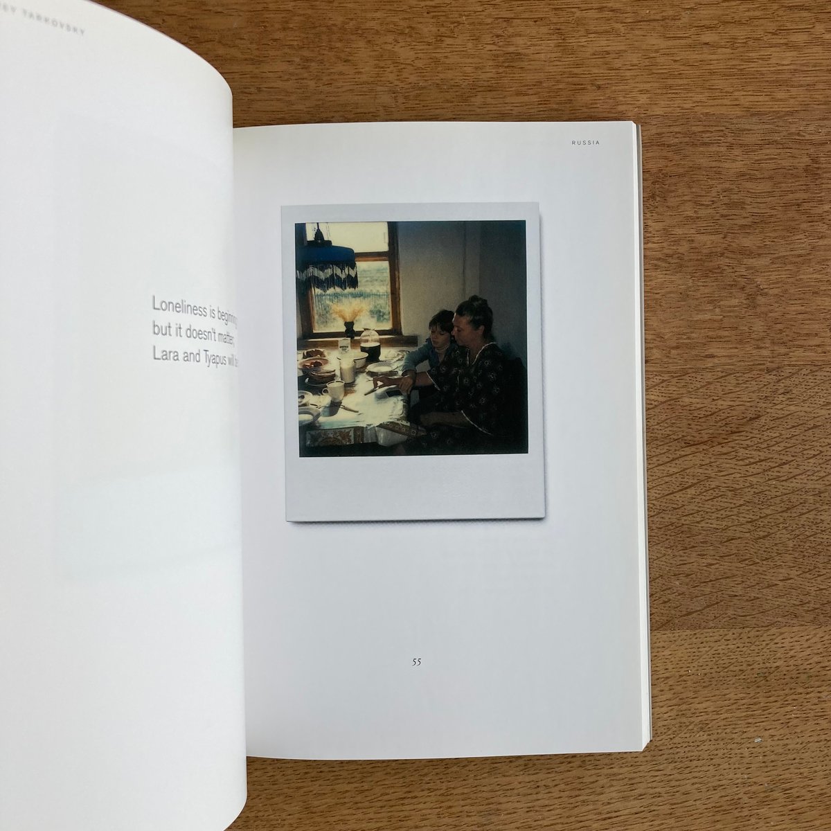 タルコフスキー Tarkovsky Polaroidsインスタントライト Instant Light Tarkovsky Polaroids / Tarkovsky, Andrei A