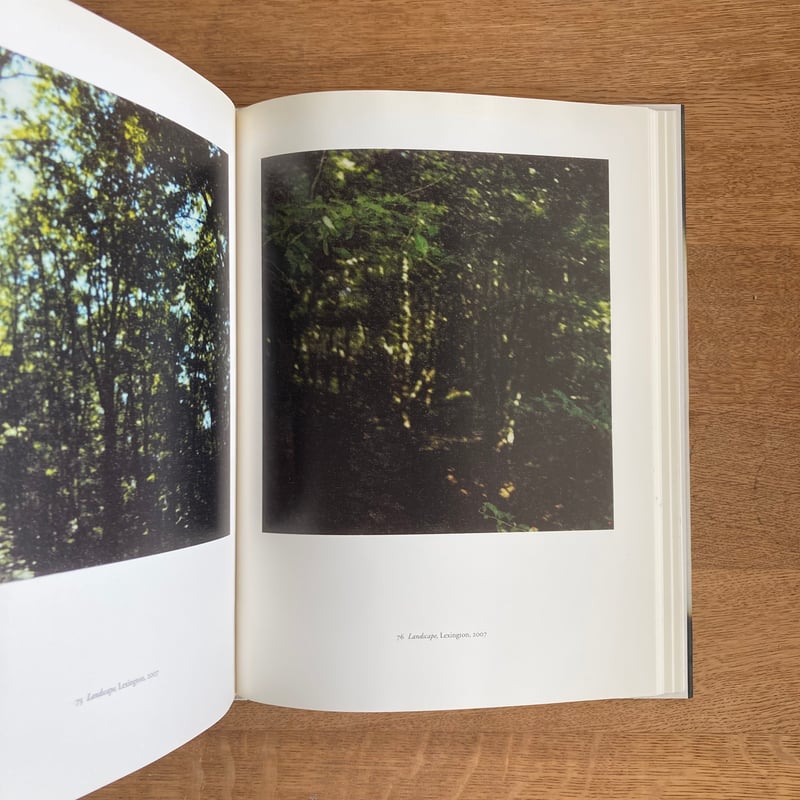 CY TWOMBLY｜PHOTOGRAPHS Ⅲ 1951-2010 | WHITEGREE