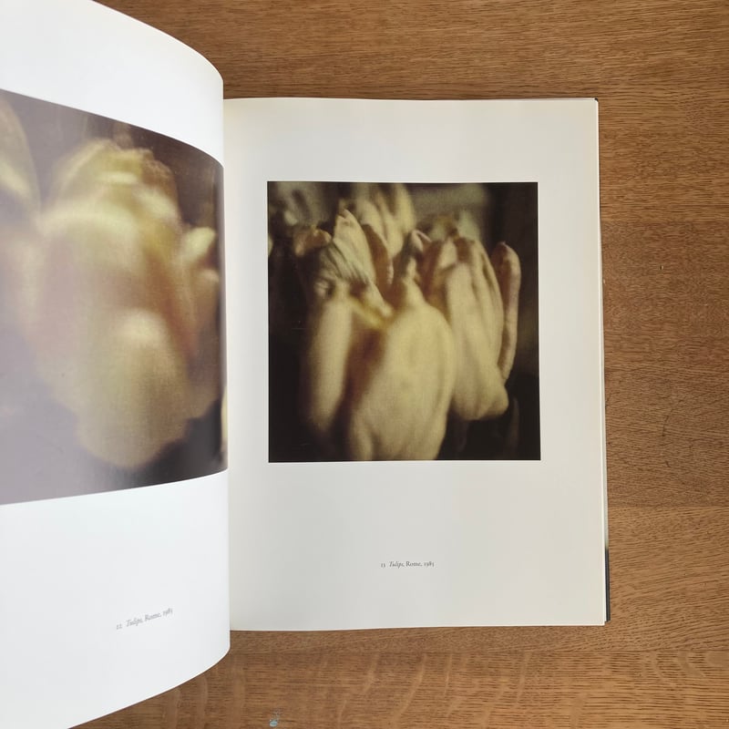 CY TWOMBLY｜PHOTOGRAPHS Ⅲ 1951-2010 | WHITEGREE