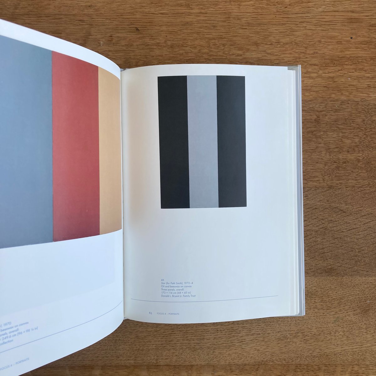 BRICE MARDEN | WHITEGREEN GALLERY