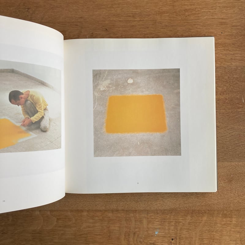 WOLFGANG LAIB｜A RETROSPECTIVE | WHITEGREEN GALLERY